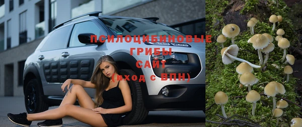 кокс Арсеньев