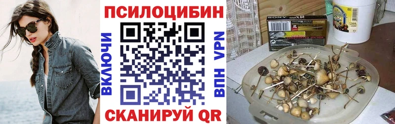 Галлюциногенные грибы Magic Shrooms  купить  цена  МЕГА ссылка  Могоча 